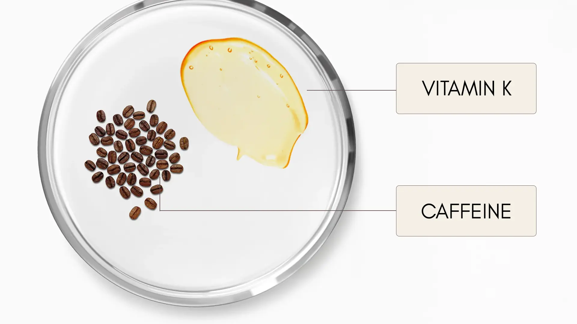 Vitamin K and Caffeine